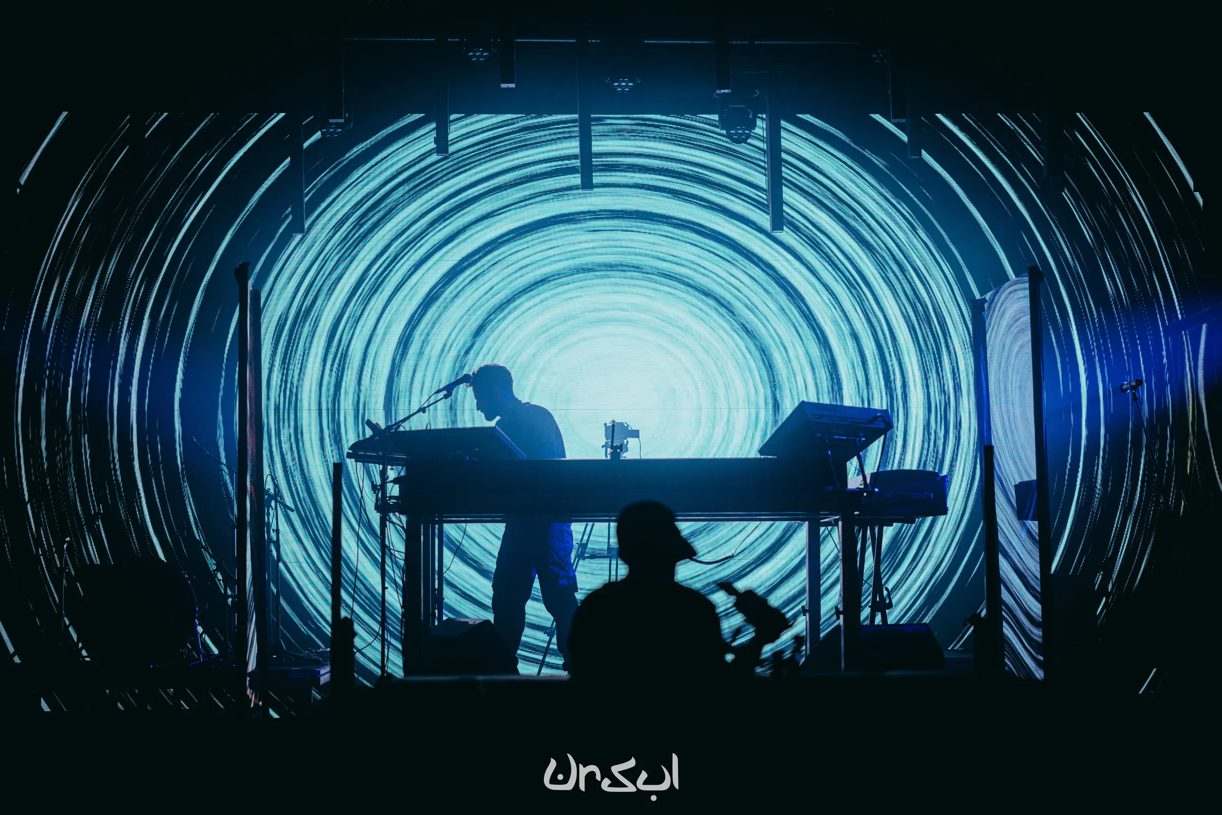 noamwilldo-ursul-1