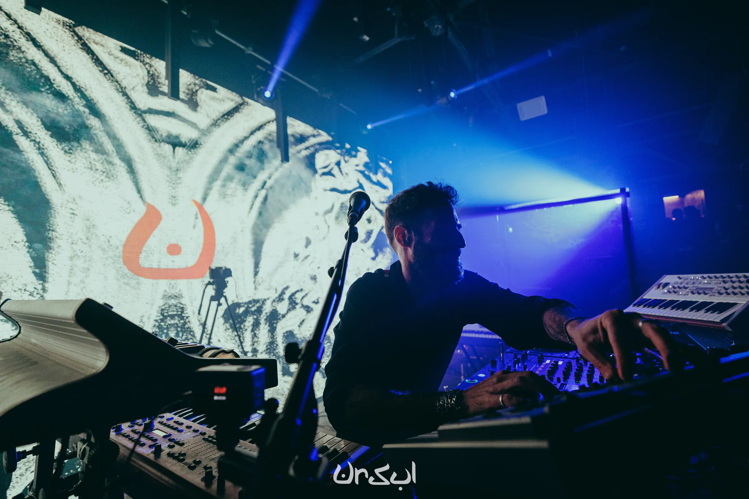 noamwilldo-ursul-2