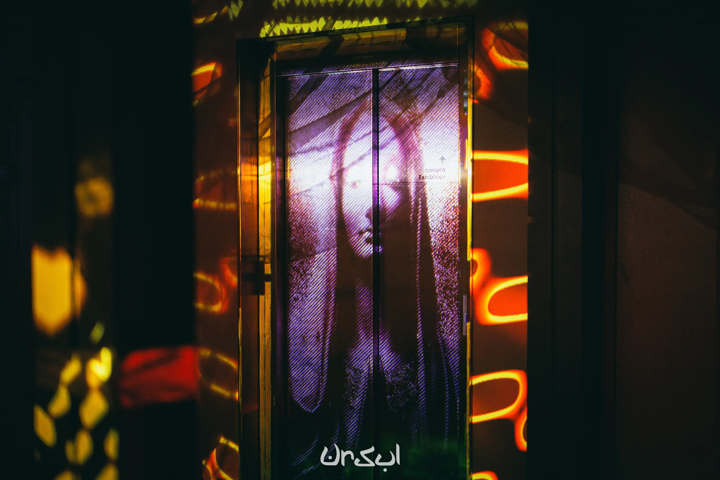 noamwilldo-ursul-gutman-1
